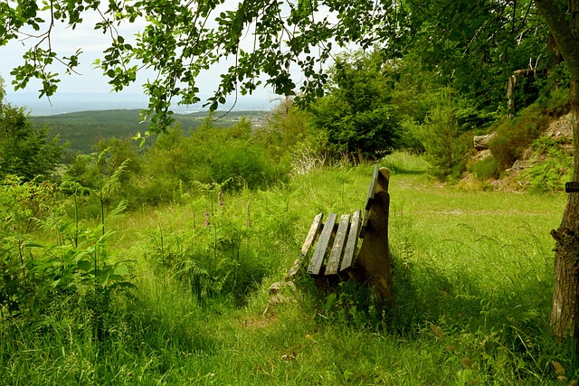 您可能会追 您可能会追
