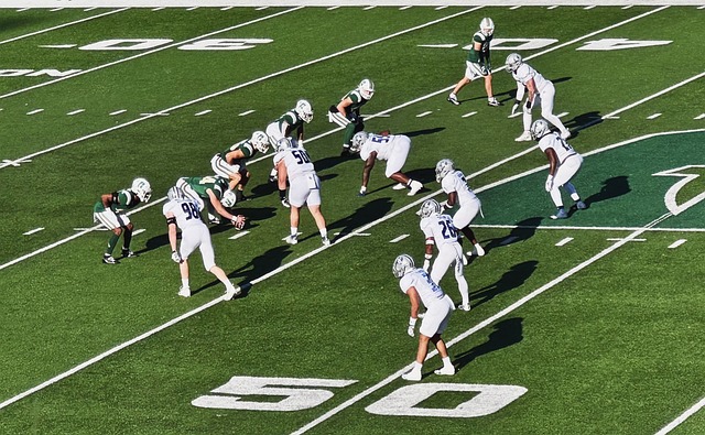 仅是全球壁 仅是全球壁