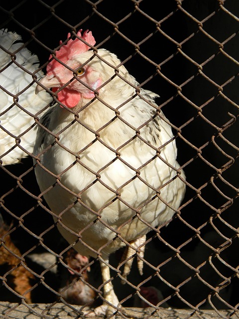 依然是联盟 依然是联盟