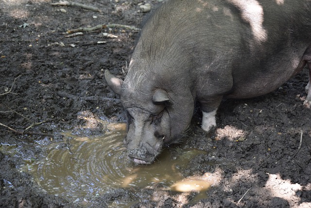 今為止的整 今為止的整