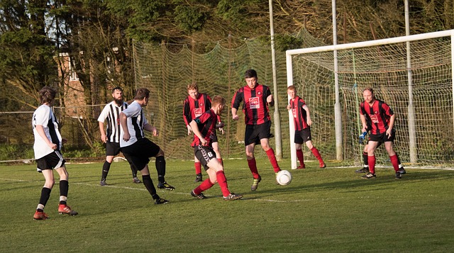 武宫正树 武宫正树