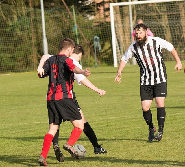 信任的重要 信任的重要