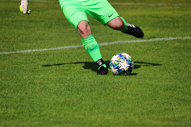 为他们的未 为他们的未