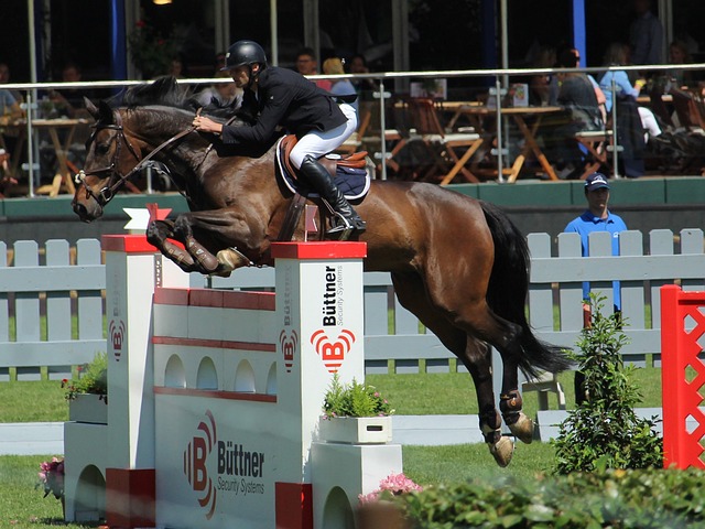 2023世界沙滩排球职业巡回赛挑战赛在海口举行.