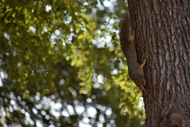 湖人自立雕像！帕特·萊利感謝珍妮和巴斯家族的慷慨.