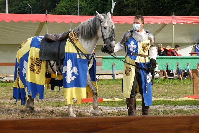 人道主义危 人道主义危