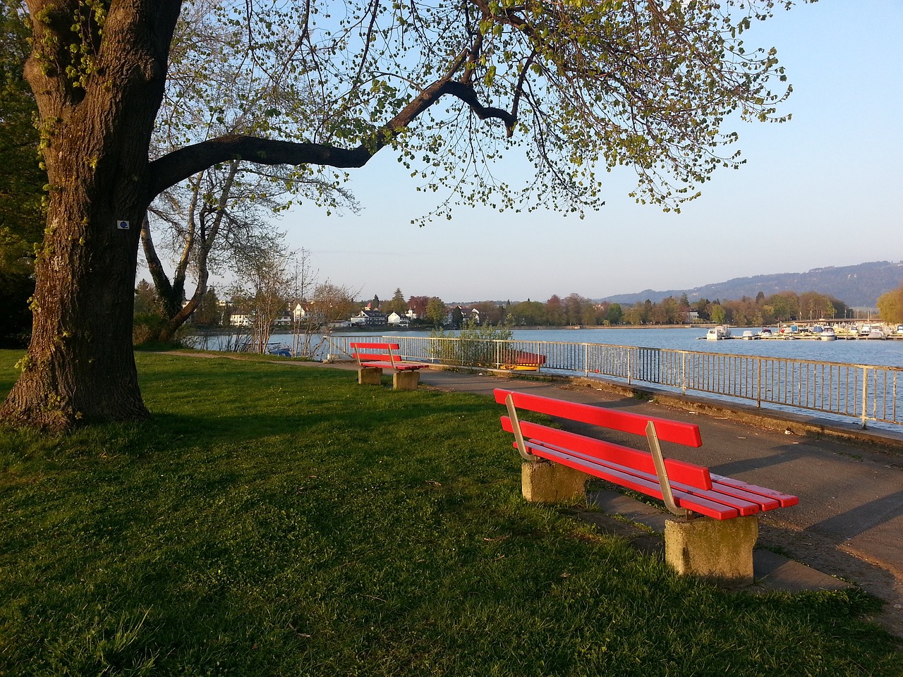 英超｜曼城各項賽事5連敗　哥帥創生涯尷尬紀錄：從未遇過這情況.